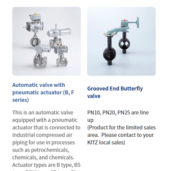 KITZ日本開滋閥門、10K電動蝶閥EXS100-10DJUE-200A