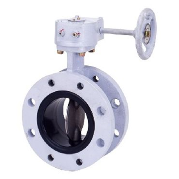 KITZ開滋閥門、日本進口閥門G-16DJE-300A